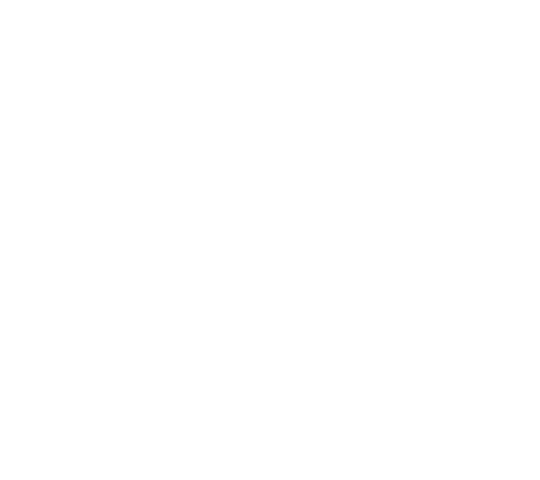 logo2